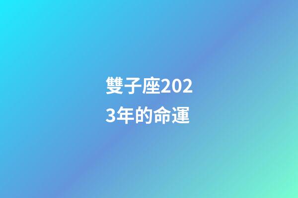 雙子座2023年的命運-第1張-星座運勢-玄機派
