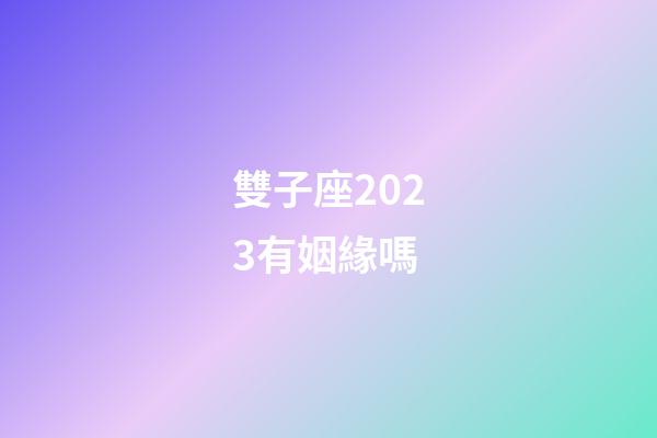 雙子座2023有姻緣嗎-第1張-星座運勢-玄機派