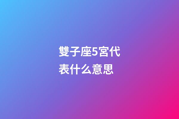 雙子座5宮代表什么意思-第1張-星座運勢-玄機派