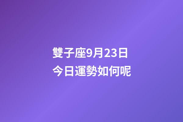 雙子座9月23日今日運勢如何呢-第1張-星座運勢-玄機派