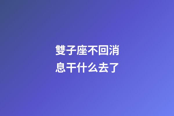 雙子座不回消息干什么去了-第1張-星座運勢-玄機派