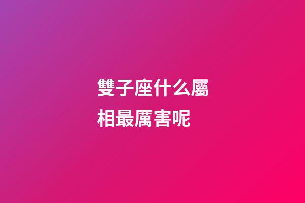雙子座什么屬相最厲害呢-第1張-星座運勢-玄機派
