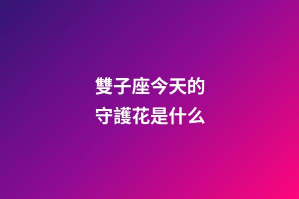 雙子座今天的守護花是什么-第1張-星座運勢-玄機派