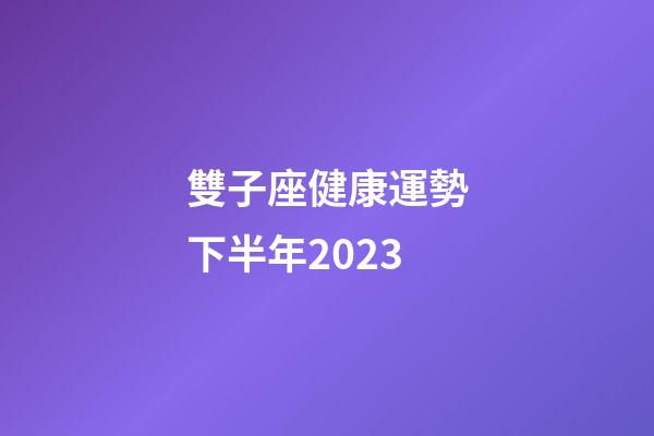 雙子座健康運勢下半年2023-第1張-星座運勢-玄機派