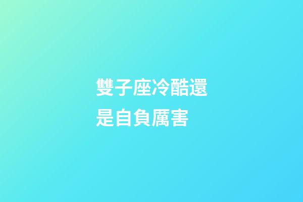 雙子座冷酷還是自負厲害-第1張-星座運勢-玄機派