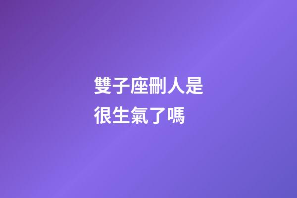 雙子座刪人是很生氣了嗎-第1張-星座運勢-玄機派