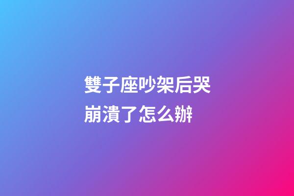 雙子座吵架后哭崩潰了怎么辦-第1張-星座運勢-玄機派