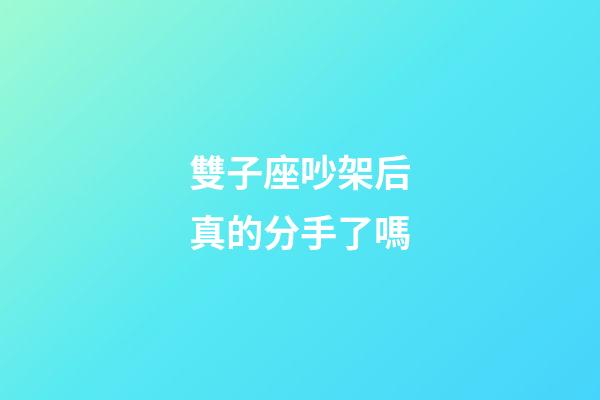 雙子座吵架后真的分手了嗎-第1張-星座運勢-玄機派