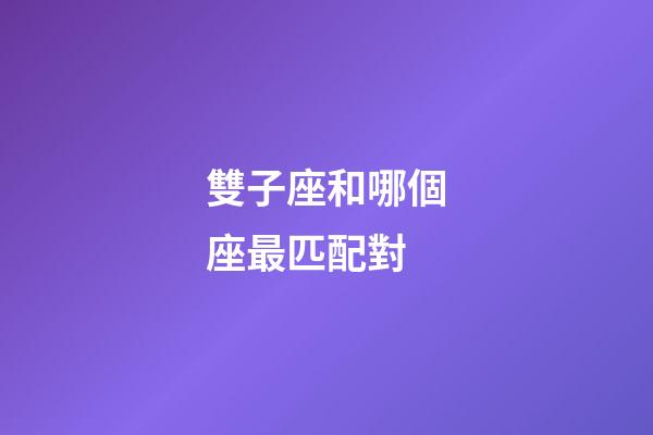 雙子座和哪個座最匹配對-第1張-星座運勢-玄機(jī)派
