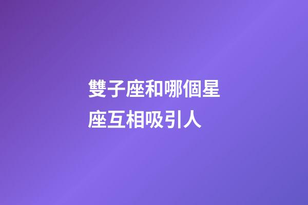雙子座和哪個星座互相吸引人-第1張-星座運勢-玄機派