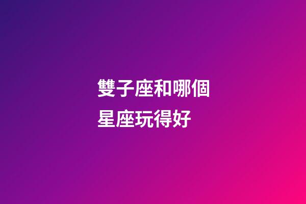 雙子座和哪個星座玩得好-第1張-星座運勢-玄機派