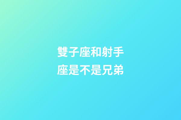 雙子座和射手座是不是兄弟-第1張-星座運勢-玄機派