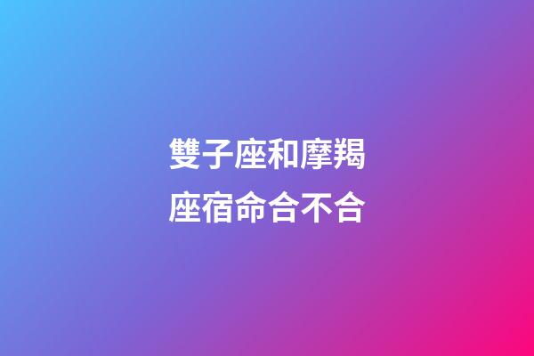 雙子座和摩羯座宿命合不合-第1張-星座運勢-玄機派