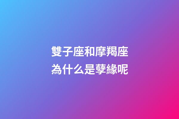 雙子座和摩羯座為什么是孽緣呢-第1張-星座運勢-玄機派