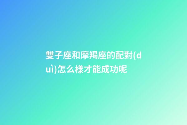雙子座和摩羯座的配對(duì)怎么樣才能成功呢