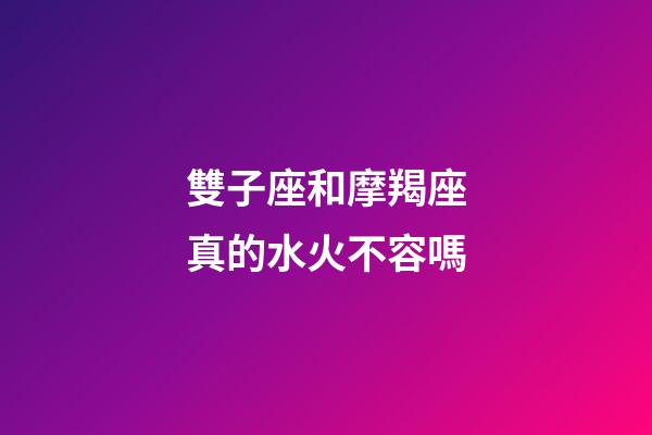 雙子座和摩羯座真的水火不容嗎-第1張-星座運勢-玄機派