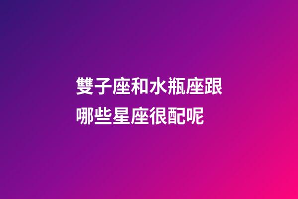 雙子座和水瓶座跟哪些星座很配呢-第1張-星座運勢-玄機派