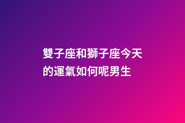 雙子座和獅子座今天的運氣如何呢男生-第1張-星座運勢-玄機派
