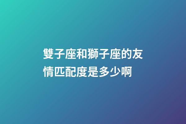 雙子座和獅子座的友情匹配度是多少啊-第1張-星座運勢-玄機派