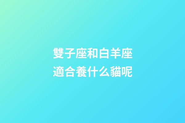 雙子座和白羊座適合養什么貓呢-第1張-星座運勢-玄機派