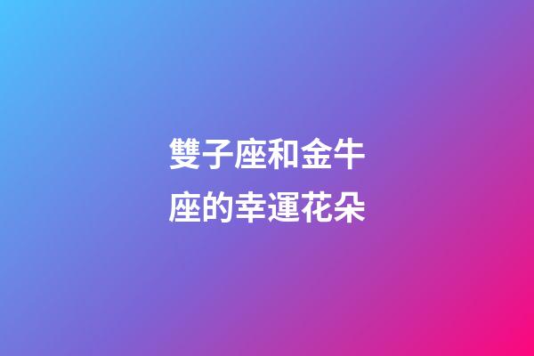 雙子座和金牛座的幸運花朵-第1張-星座運勢-玄機派