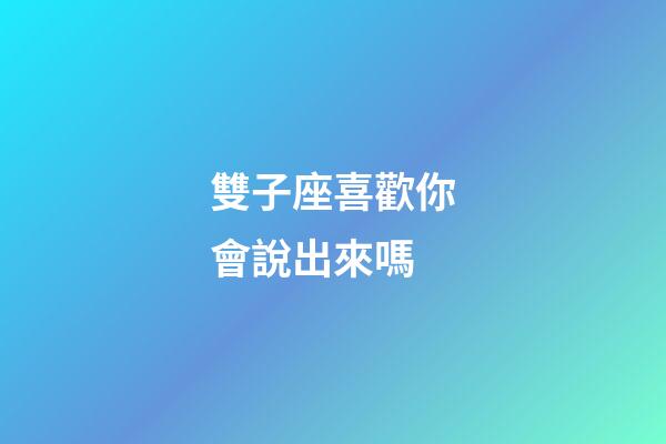 雙子座喜歡你會說出來嗎-第1張-星座運勢-玄機派