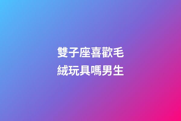 雙子座喜歡毛絨玩具嗎男生-第1張-星座運勢-玄機派