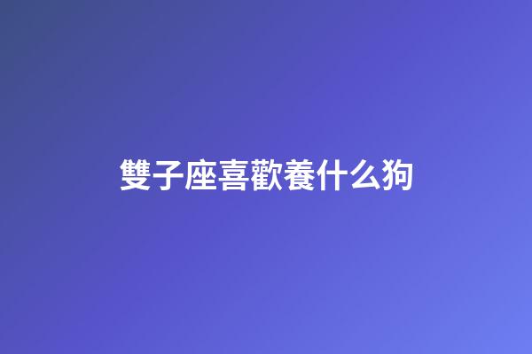 雙子座喜歡養什么狗-第1張-星座運勢-玄機派