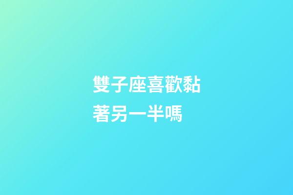 雙子座喜歡黏著另一半嗎-第1張-星座運勢-玄機派
