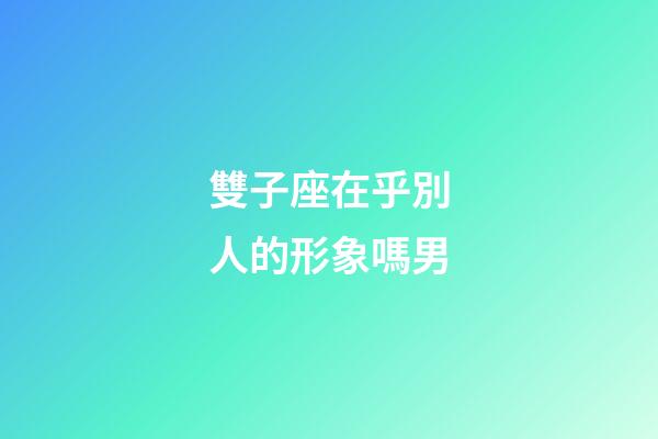 雙子座在乎別人的形象嗎男-第1張-星座運勢-玄機派