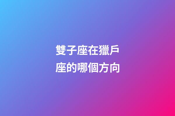 雙子座在獵戶座的哪個方向