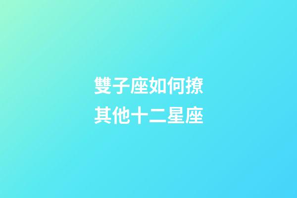 雙子座如何撩其他十二星座-第1張-星座運勢-玄機派
