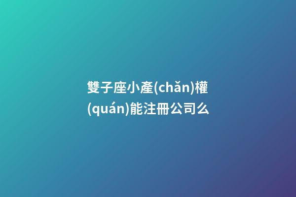 雙子座小產(chǎn)權(quán)能注冊公司么