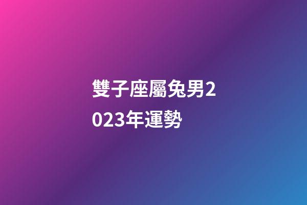 雙子座屬兔男2023年運勢-第1張-星座運勢-玄機派