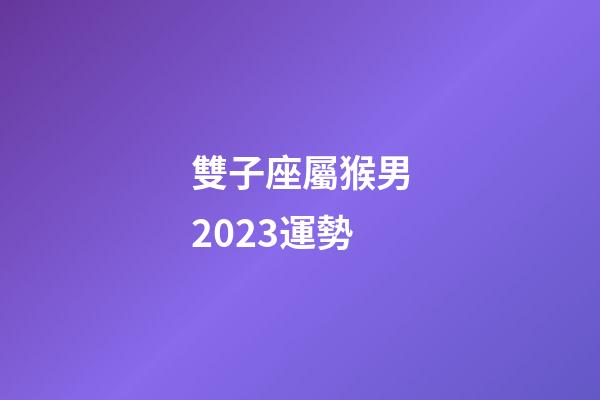 雙子座屬猴男2023運勢-第1張-星座運勢-玄機派
