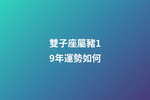 雙子座屬豬19年運勢如何-第1張-星座運勢-玄機派