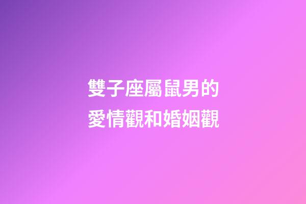 雙子座屬鼠男的愛情觀和婚姻觀-第1張-星座運勢-玄機派