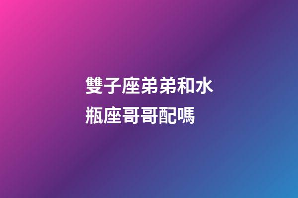 雙子座弟弟和水瓶座哥哥配嗎-第1張-星座運勢-玄機派