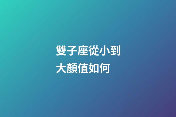 雙子座從小到大顏值如何-第1張-星座運勢-玄機派