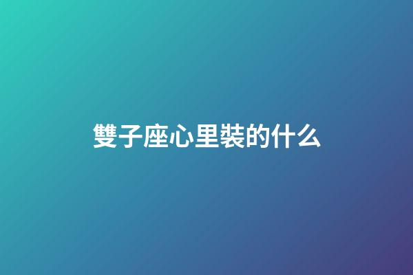 雙子座心里裝的什么-第1張-星座運勢-玄機派