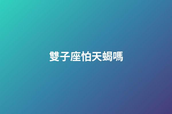 雙子座怕天蝎嗎-第1張-星座運勢-玄機派
