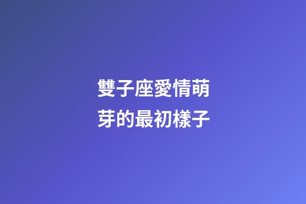 雙子座愛情萌芽的最初樣子