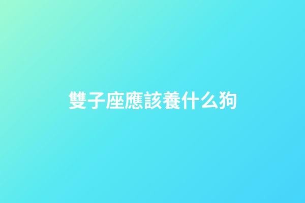 雙子座應該養什么狗-第1張-星座運勢-玄機派