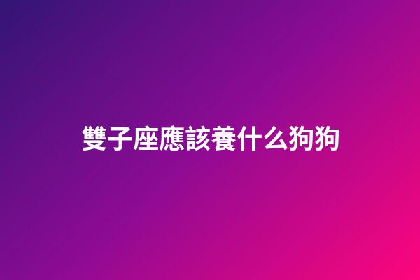 雙子座應該養什么狗狗-第1張-星座運勢-玄機派