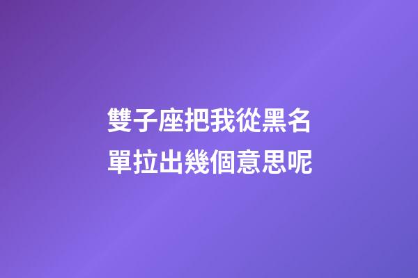 雙子座把我從黑名單拉出幾個意思呢