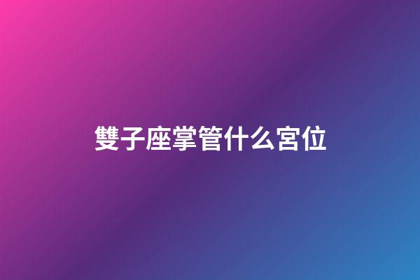 雙子座掌管什么宮位-第1張-星座運勢-玄機派