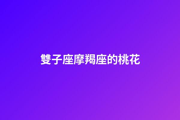 雙子座摩羯座的桃花-第1張-星座運勢-玄機派