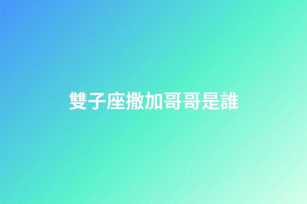 雙子座撒加哥哥是誰