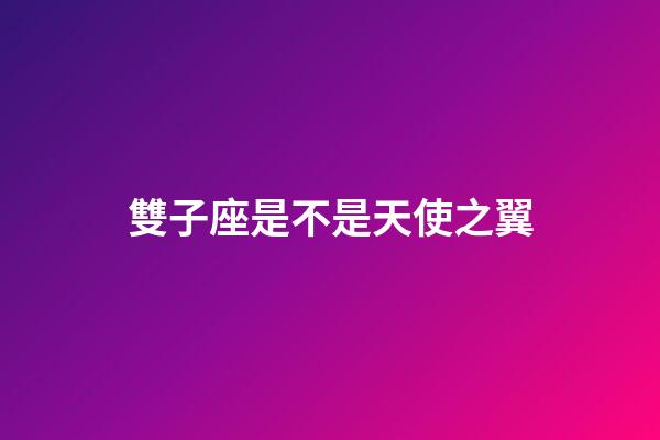 雙子座是不是天使之翼-第1張-星座運勢-玄機派