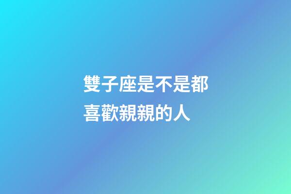 雙子座是不是都喜歡親親的人-第1張-星座運勢-玄機派